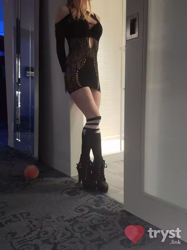 Aliyah - Escort in Albany, NY