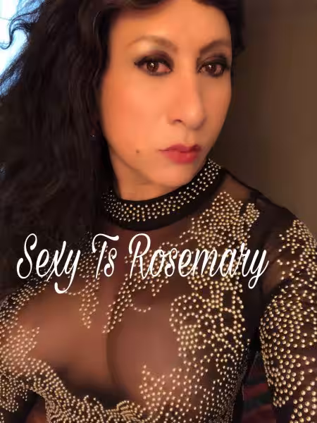 TS Marsela / Rosemary - Escort/Massage/S&M in Aurora, IL
