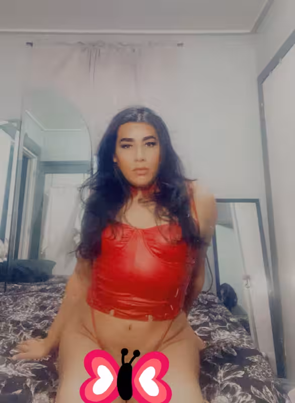 TS Danielle - Escort in Aurora, IL
