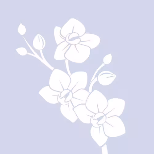 Escort/Massage Tajae in Los Angeles, CA