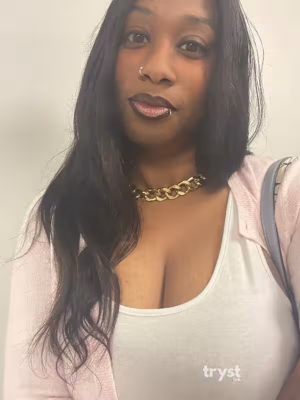 MzKushKitteh - Escort in Los Angeles, CA