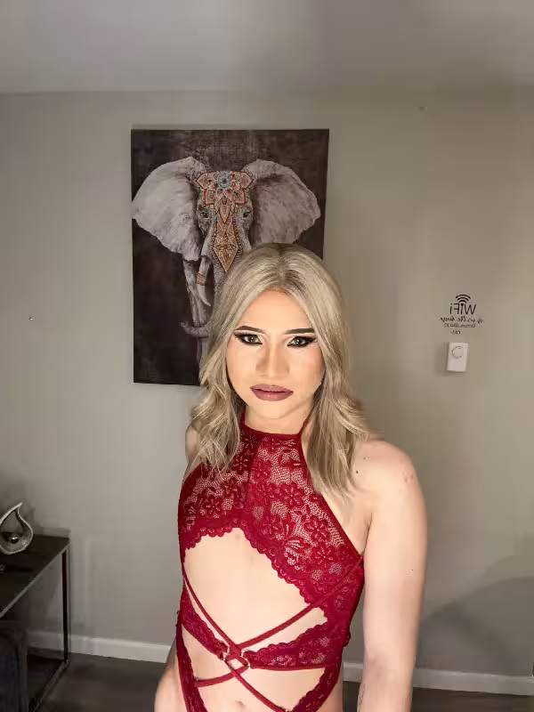 Escort TS Valentina in New Brunswick, NJ