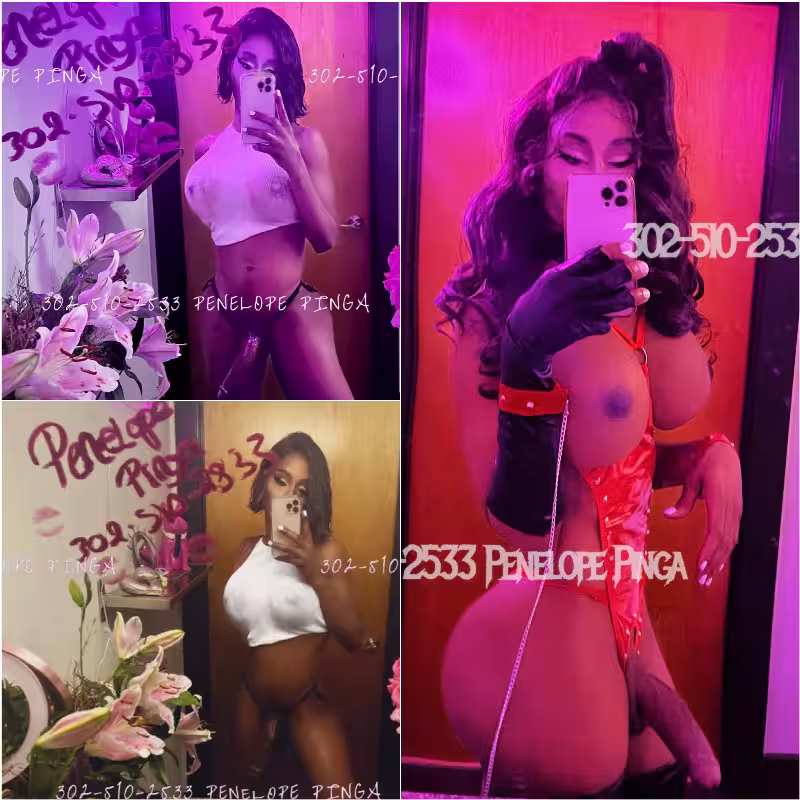 Escort TS Penople Pinga in Orlando, FL