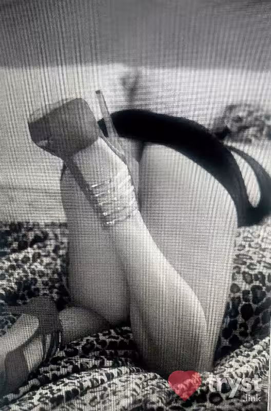 Escort/Massage Sexylilmynx / CJ in Sarasota, FL