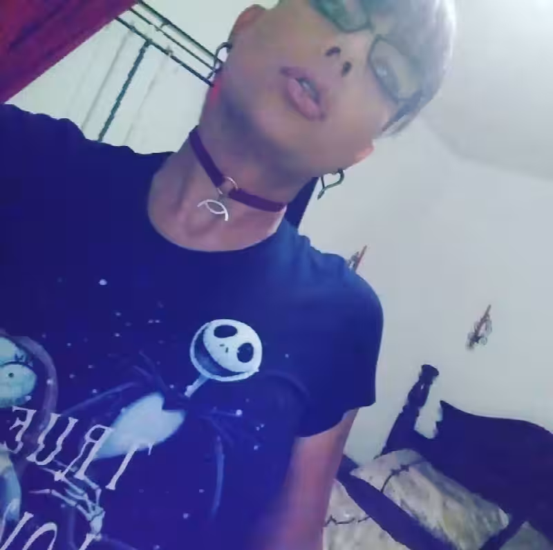 TS Jazmyn Star - Escort in Tampa, FL