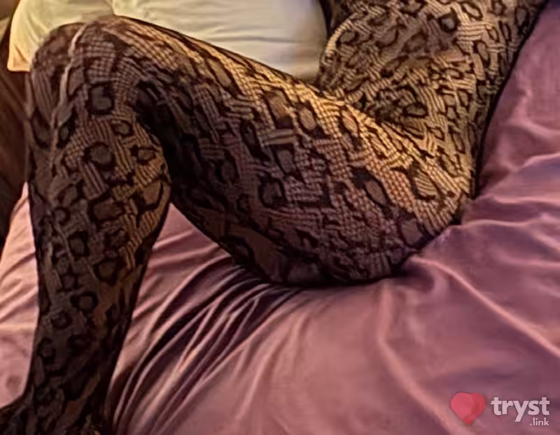 Mini - Escort/Massage in Toledo, OH