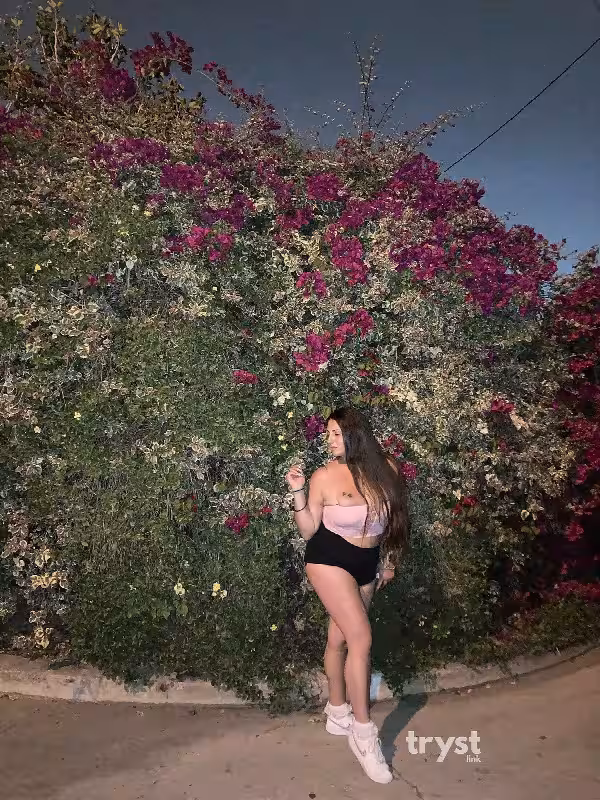 Escort Xenia Hellenic in Waltham, MA