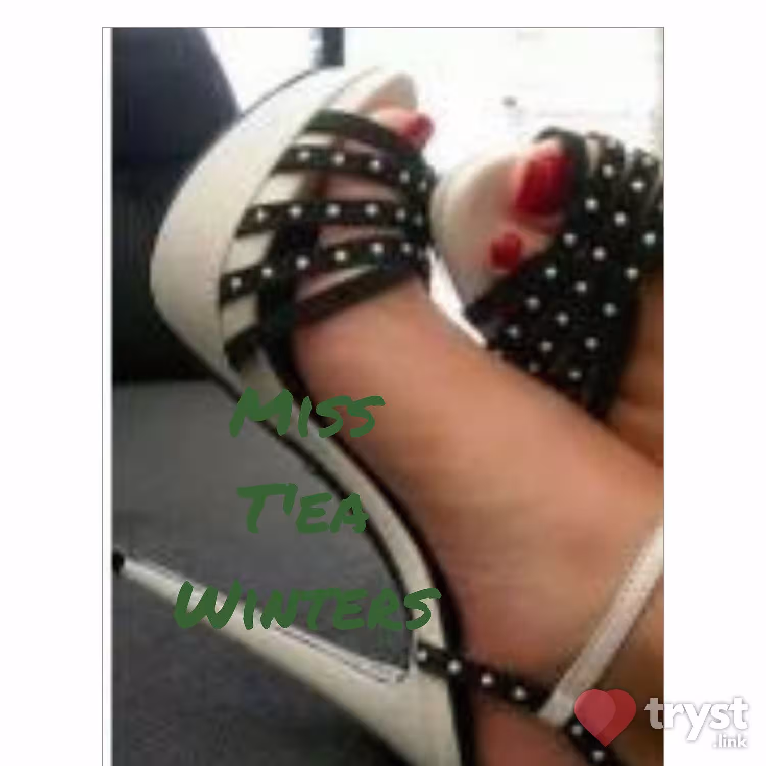 T'ea Winters | 202-839-4733 | Escort | Washington