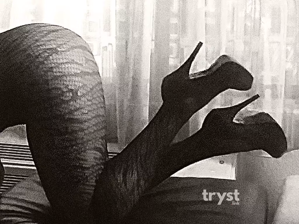 Escort | San Diego | Melody | 760-316-3107