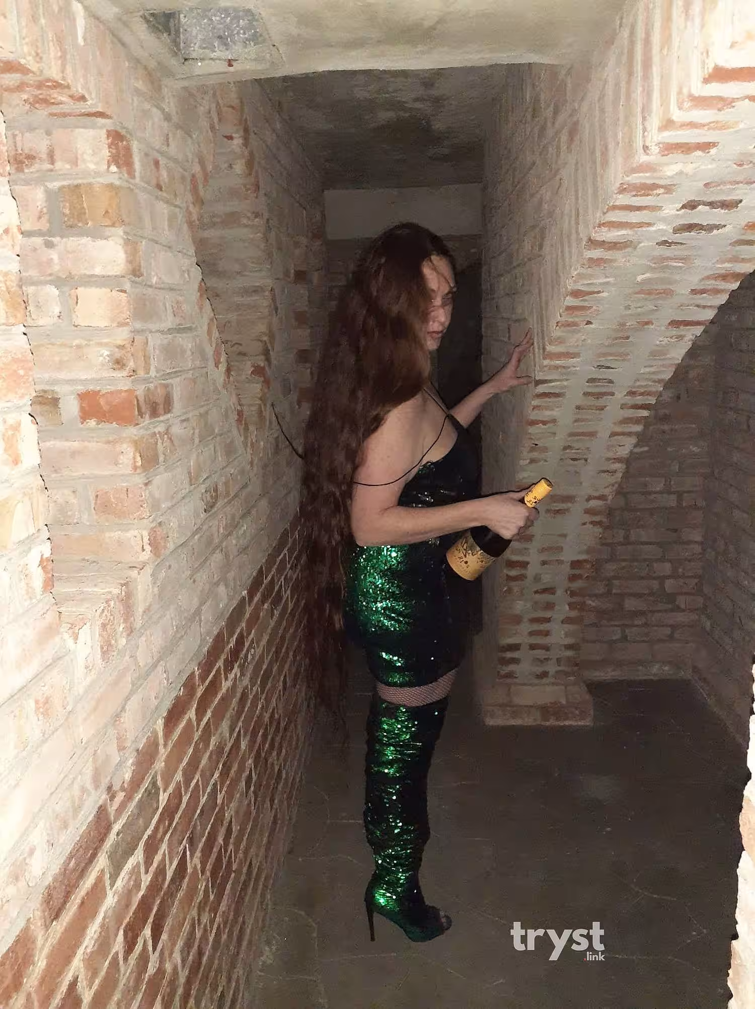 Escort | Washington | 207-313-3759 | Monica | Lady Monica