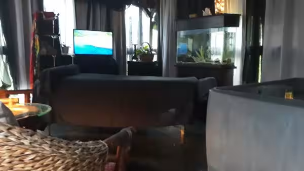 Tampa | Massage | 561-667-6869 | Afiya