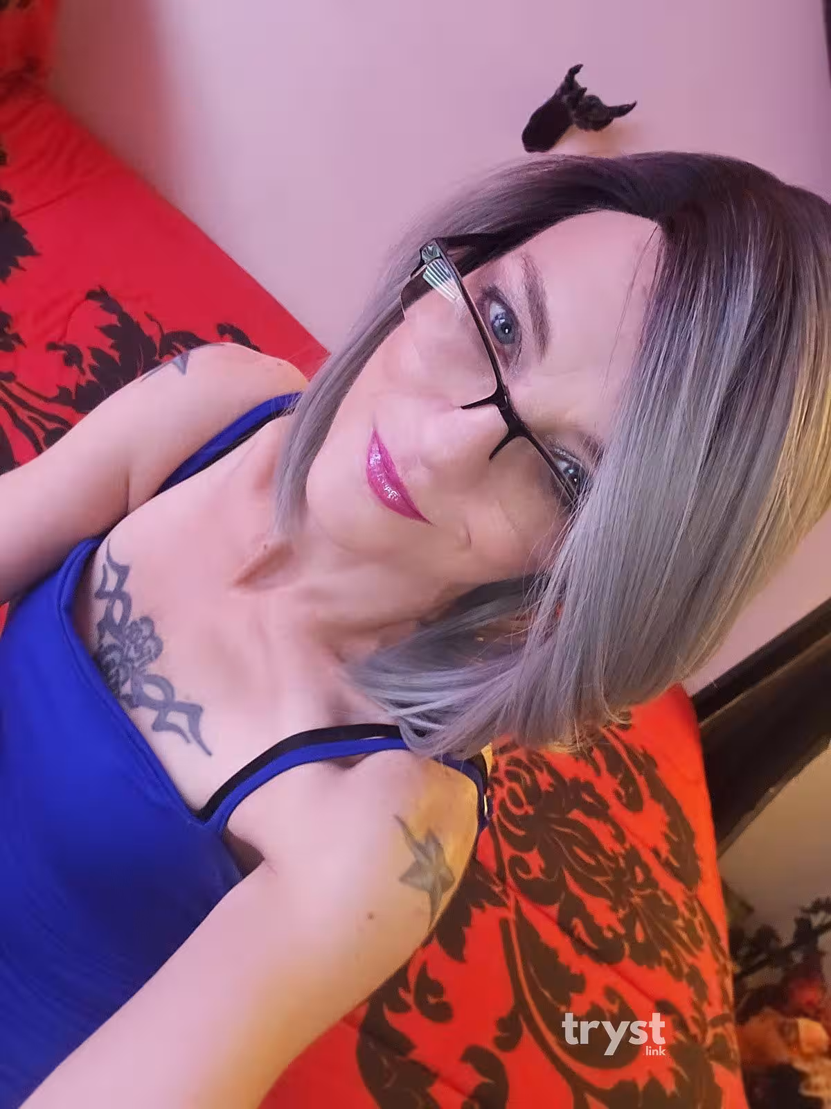 Escort | 501-500-4433 | Tennessee Tootsie | Gfe Sexpert Spinner | Austin