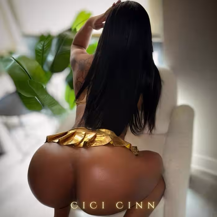 Chicago | Cici Cinn | 954-995-0892 | Escort